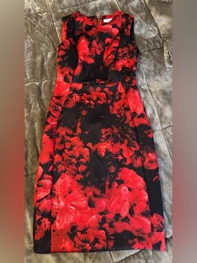 Calvin Klein Black Midi Dress with Red Floral Print